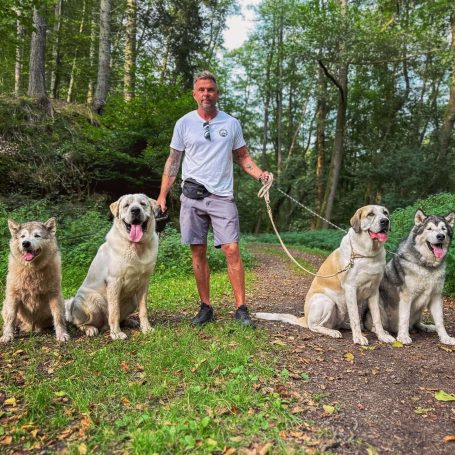 Large Breed Walk Canis Explorans