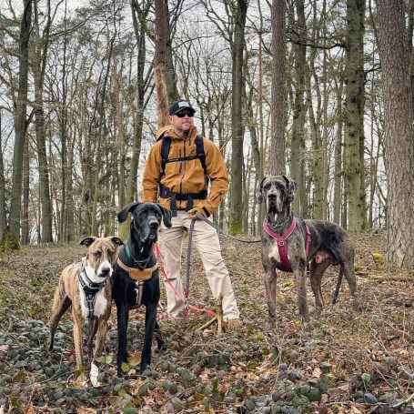 Dogwalker Ramstein Dogwalker