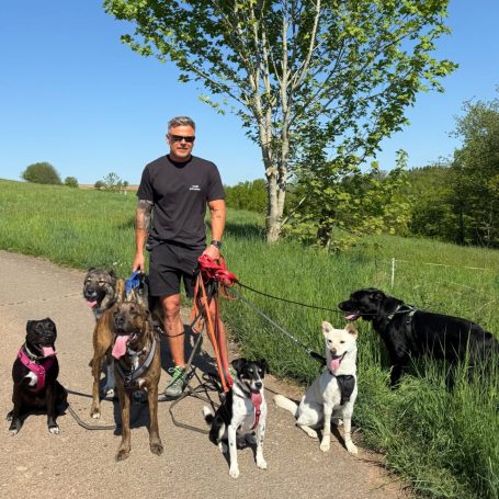 Puppy Dog Walk Puppy Dogwalk