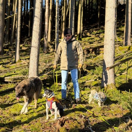 Social dog walk Kaiserslautern-West Landstuhl Ramstein
